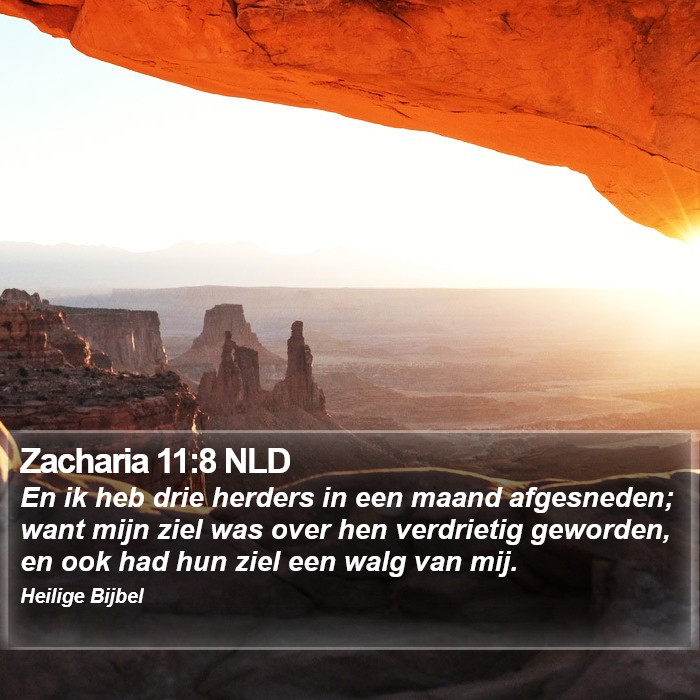 Zacharia 11:8 NLD Bible Study