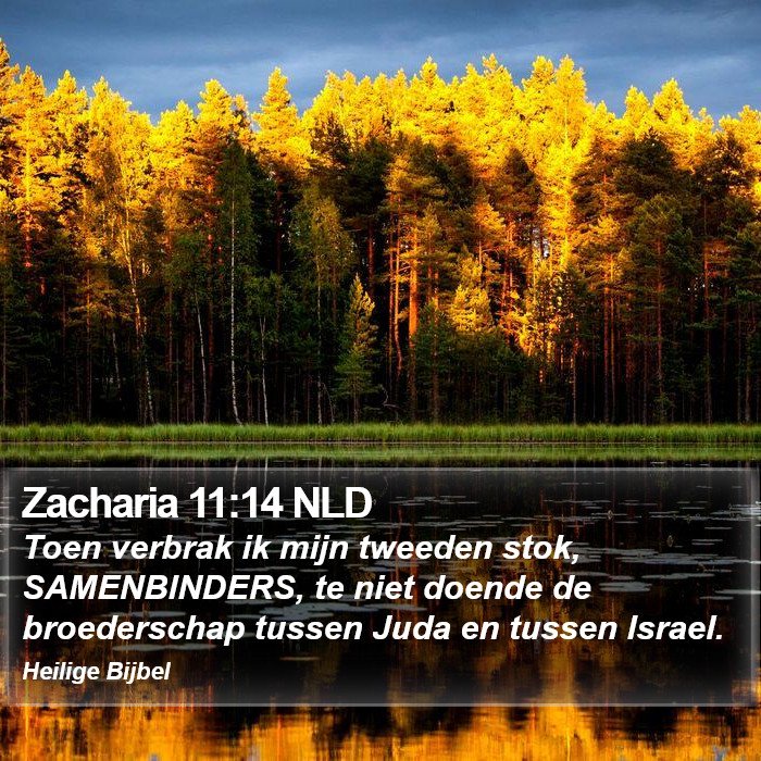 Zacharia 11:14 NLD Bible Study