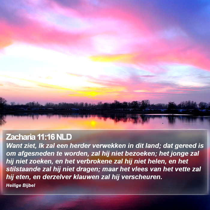 Zacharia 11:16 NLD Bible Study