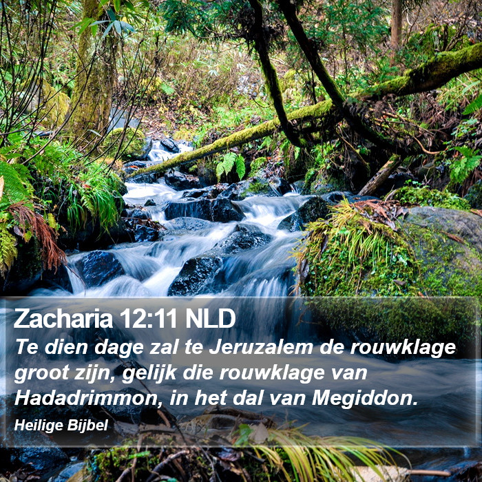Zacharia 12:11 NLD Bible Study