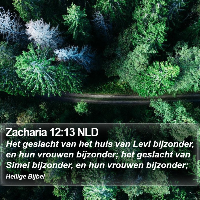 Zacharia 12:13 NLD Bible Study
