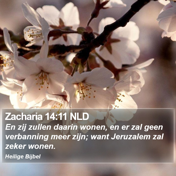Zacharia 14:11 NLD Bible Study
