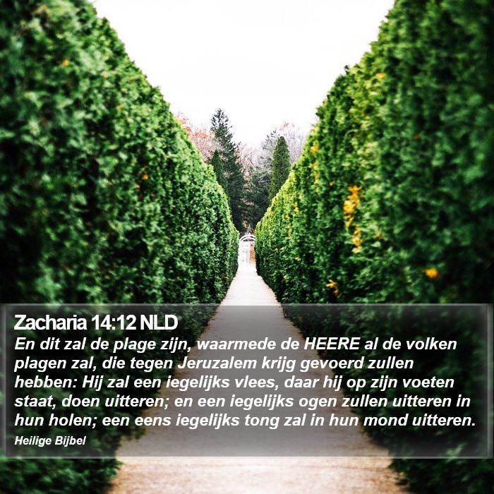 Zacharia 14:12 NLD Bible Study