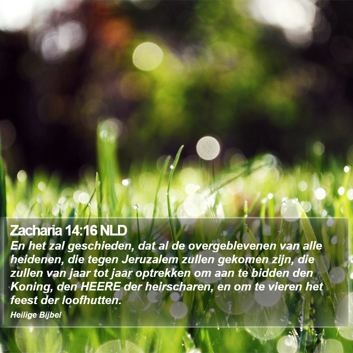 Zacharia 14:16 NLD Bible Study