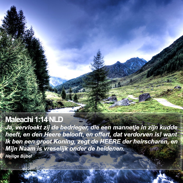 Maleachi 1:14 NLD Bible Study