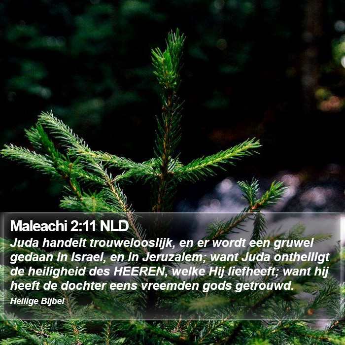 Maleachi 2:11 NLD Bible Study
