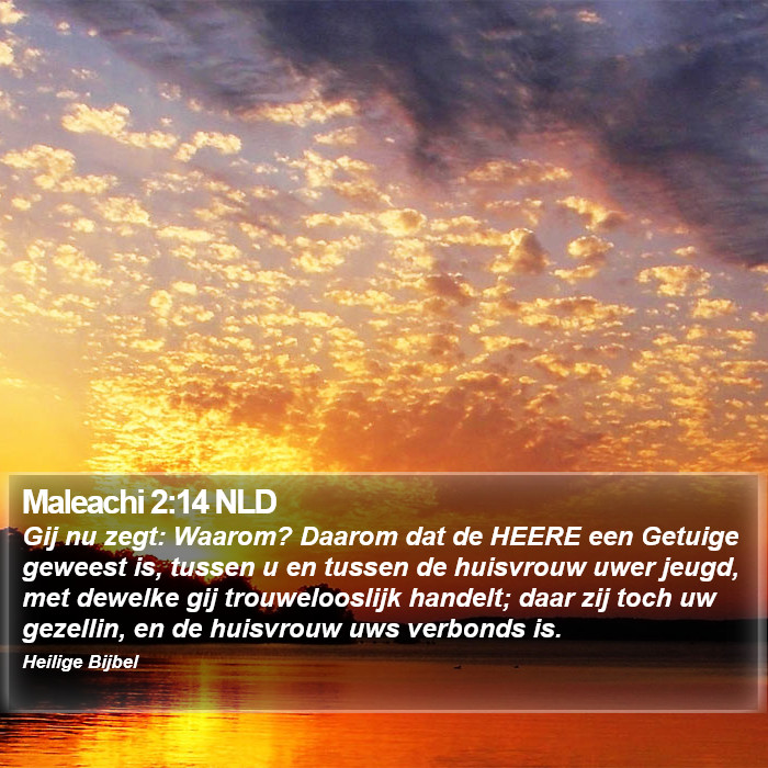 Maleachi 2:14 NLD Bible Study