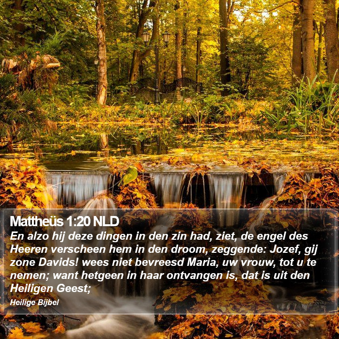 Mattheüs 1:20 NLD Bible Study