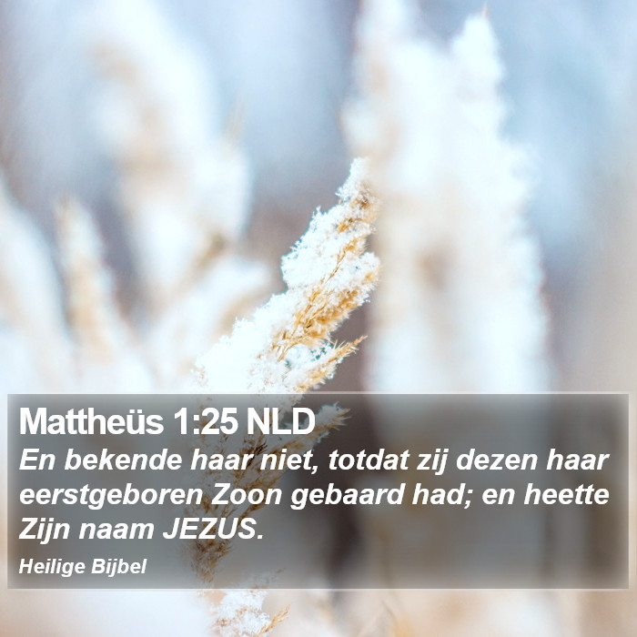 Mattheüs 1:25 NLD Bible Study