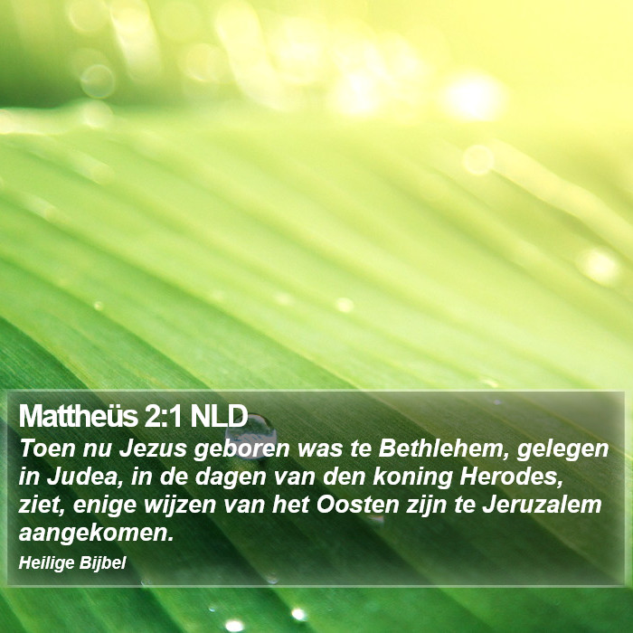 Mattheüs 2:1 NLD Bible Study