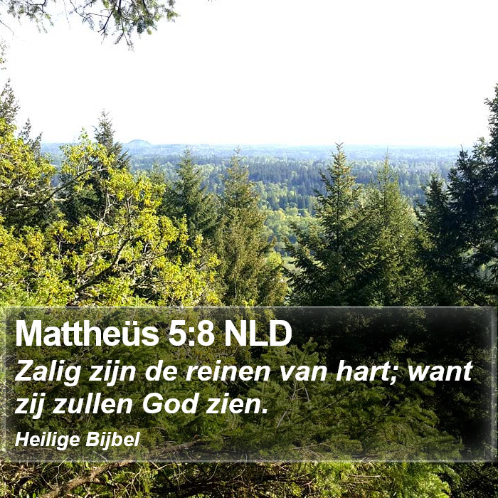 Mattheüs 5:8 NLD Bible Study