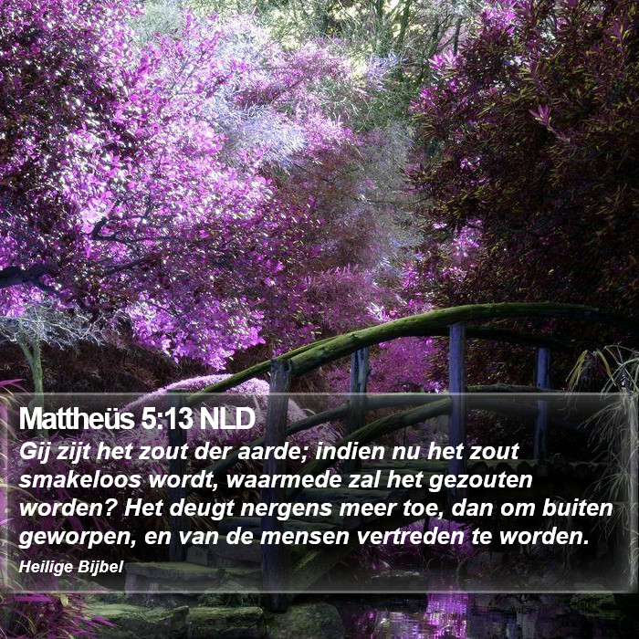 Mattheüs 5:13 NLD Bible Study