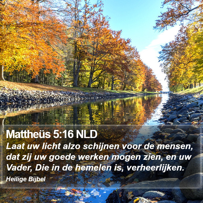 Mattheüs 5:16 NLD Bible Study