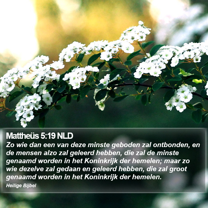 Mattheüs 5:19 NLD Bible Study