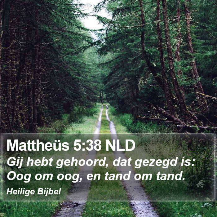 Mattheüs 5:38 NLD Bible Study