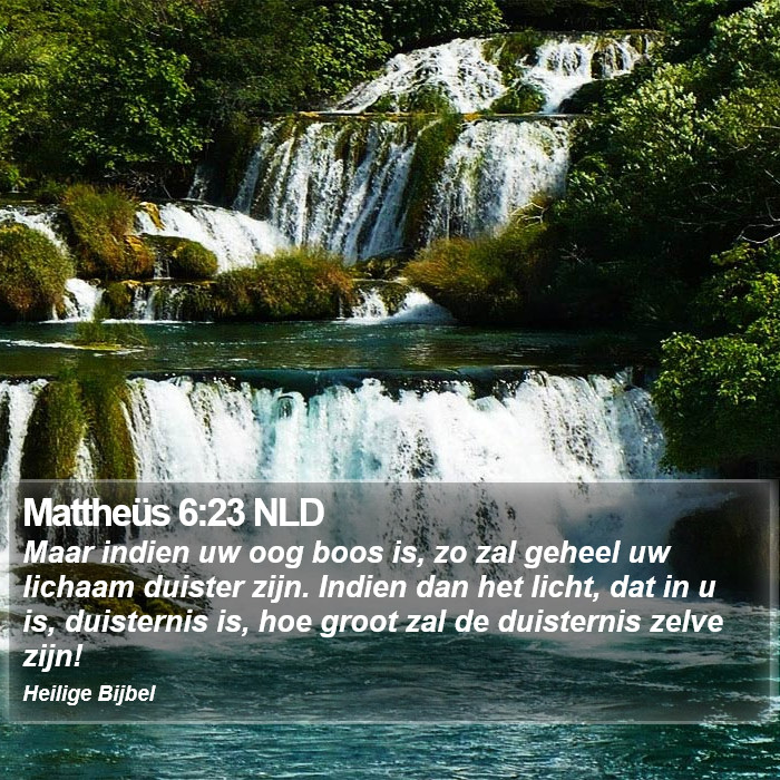 Mattheüs 6:23 NLD Bible Study