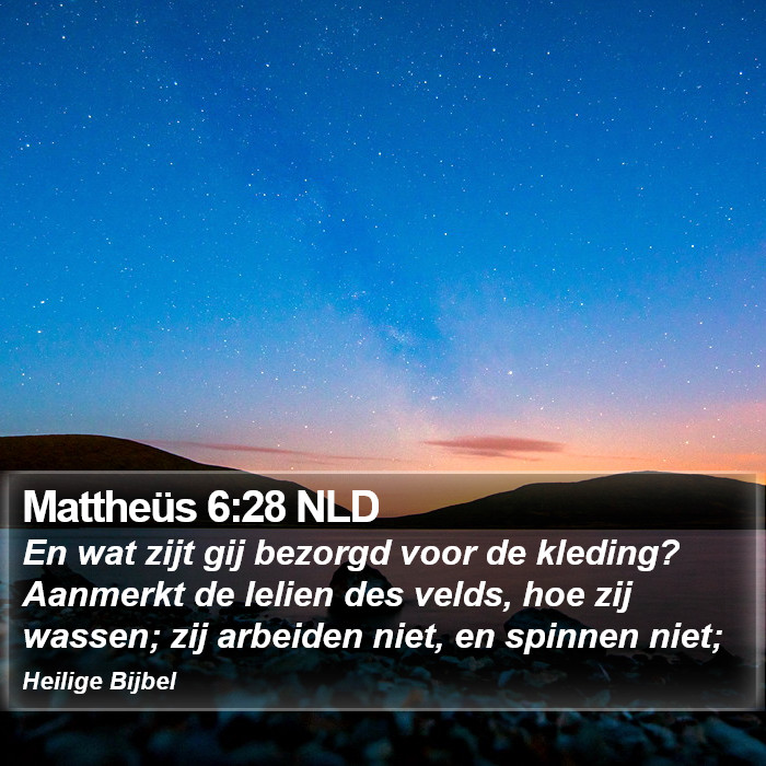 Mattheüs 6:28 NLD Bible Study