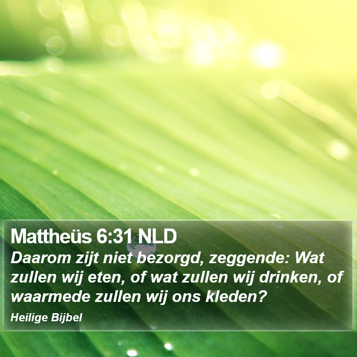 Mattheüs 6:31 NLD Bible Study