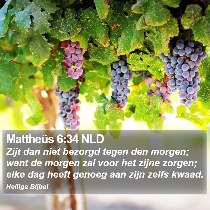 Mattheüs 6:34 NLD Bible Study