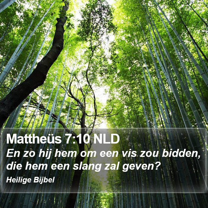 Mattheüs 7:10 NLD Bible Study