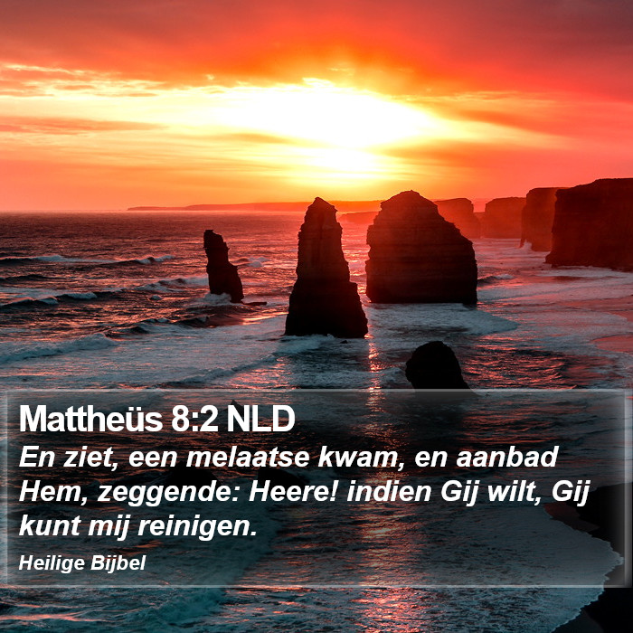 Mattheüs 8:2 NLD Bible Study