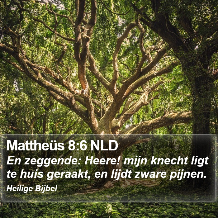Mattheüs 8:6 NLD Bible Study