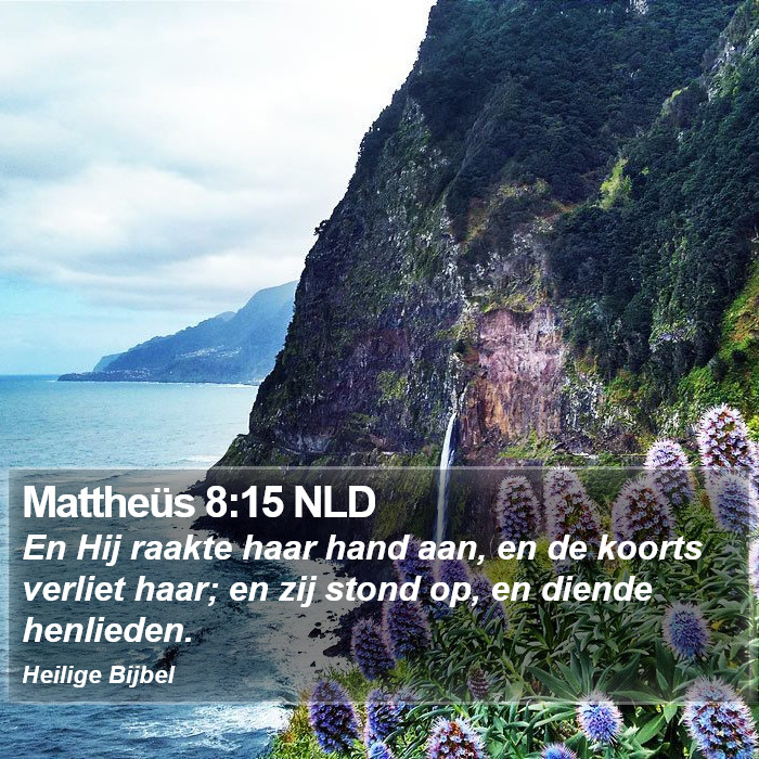 Mattheüs 8:15 NLD Bible Study