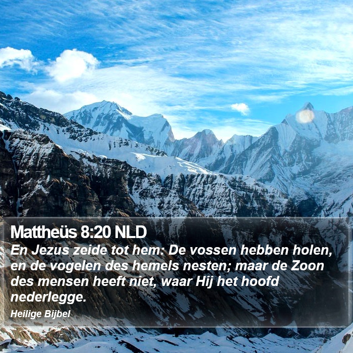 Mattheüs 8:20 NLD Bible Study