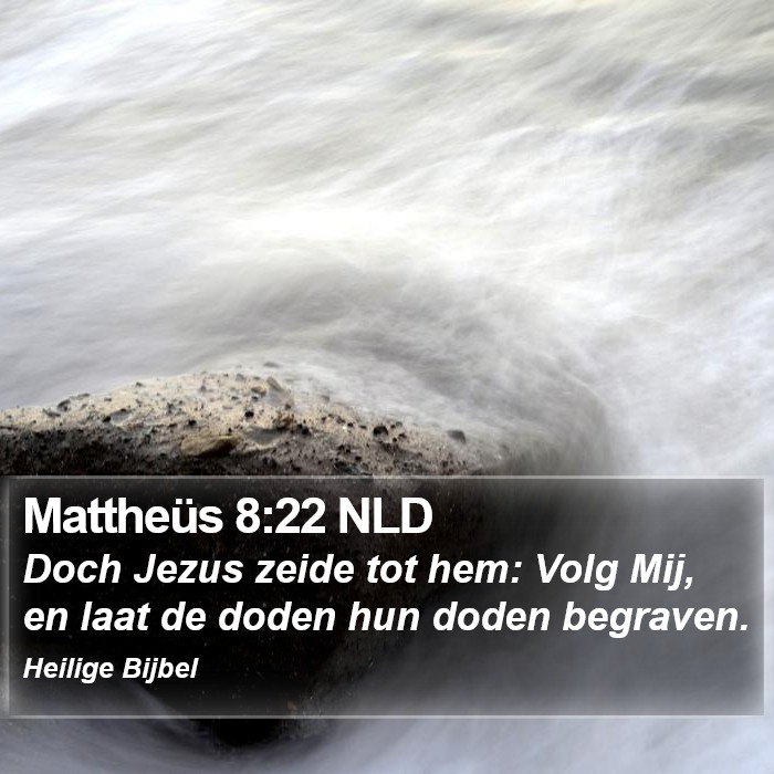 Mattheüs 8:22 NLD Bible Study