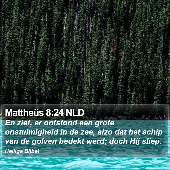 Mattheüs 8:24 NLD Bible Study