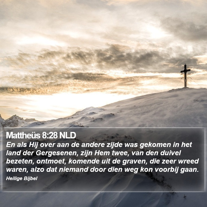 Mattheüs 8:28 NLD Bible Study