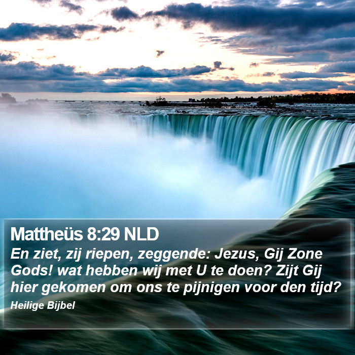 Mattheüs 8:29 NLD Bible Study