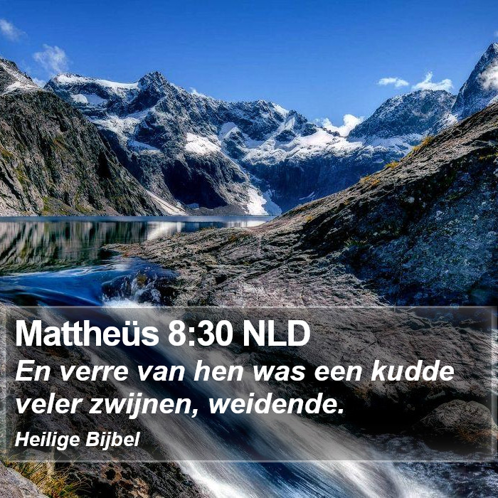 Mattheüs 8:30 NLD Bible Study
