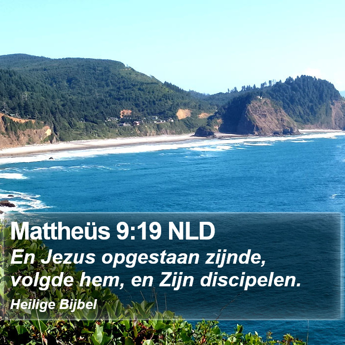 Mattheüs 9:19 NLD Bible Study