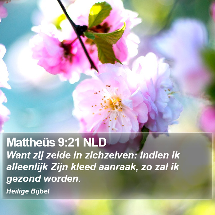 Mattheüs 9:21 NLD Bible Study