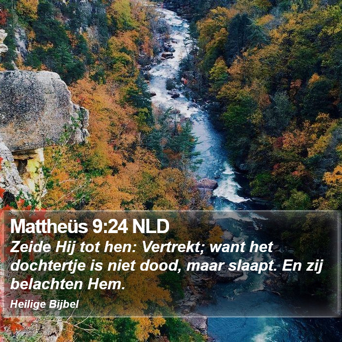 Mattheüs 9:24 NLD Bible Study