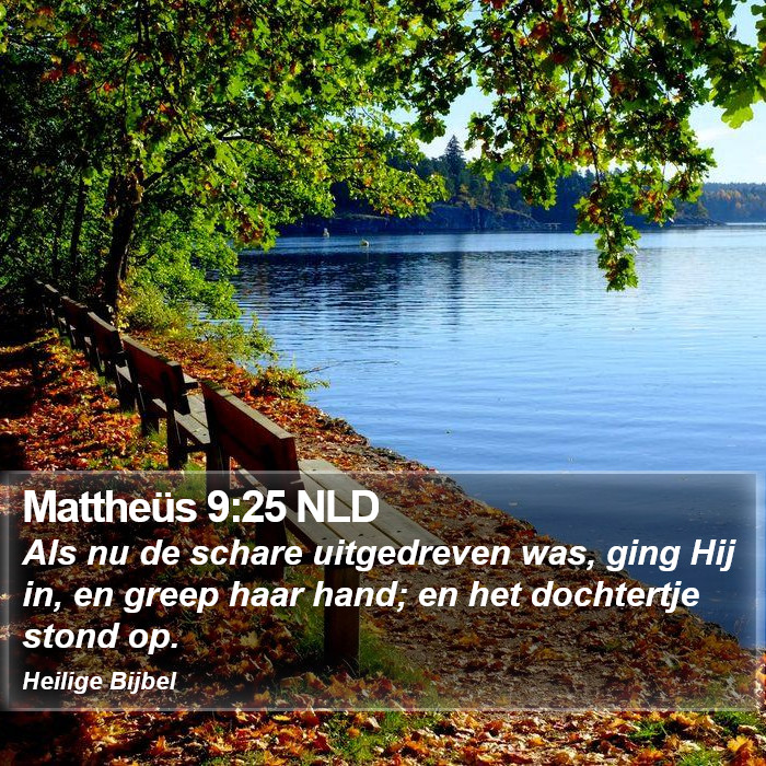 Mattheüs 9:25 NLD Bible Study