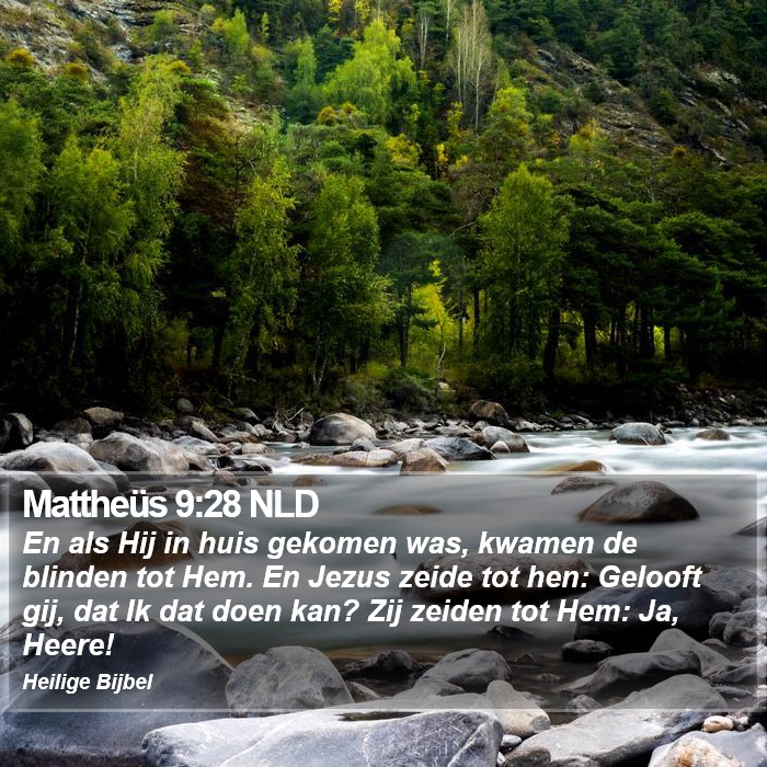 Mattheüs 9:28 NLD Bible Study