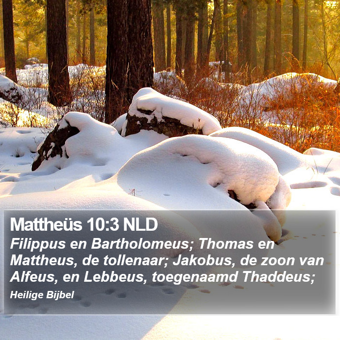 Mattheüs 10:3 NLD Bible Study