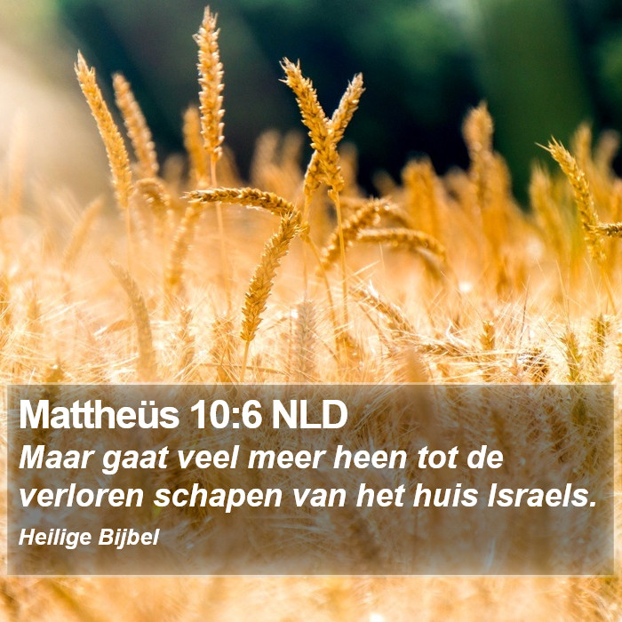 Mattheüs 10:6 NLD Bible Study