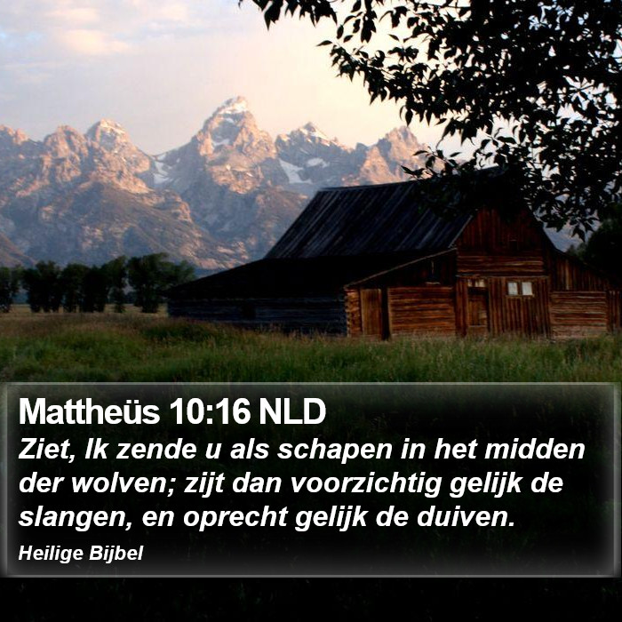 Mattheüs 10:16 NLD Bible Study