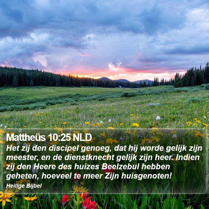 Mattheüs 10:25 NLD Bible Study