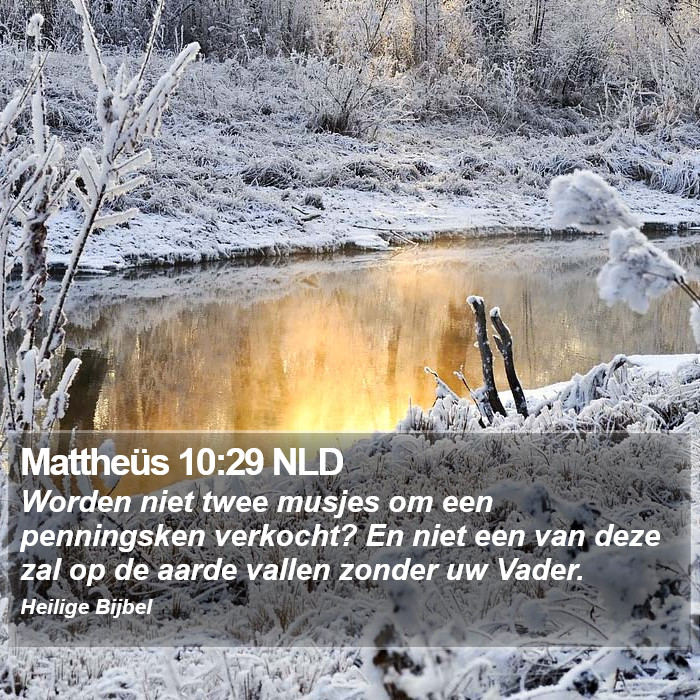 Mattheüs 10:29 NLD Bible Study