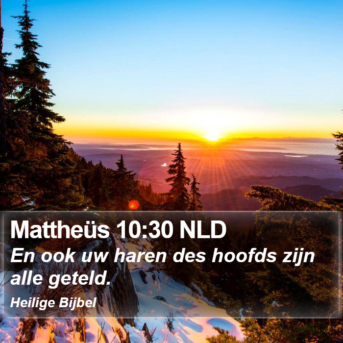 Mattheüs 10:30 NLD Bible Study