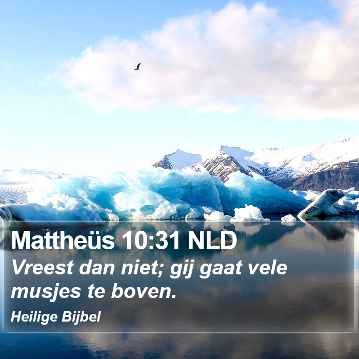 Mattheüs 10:31 NLD Bible Study