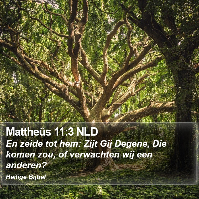 Mattheüs 11:3 NLD Bible Study