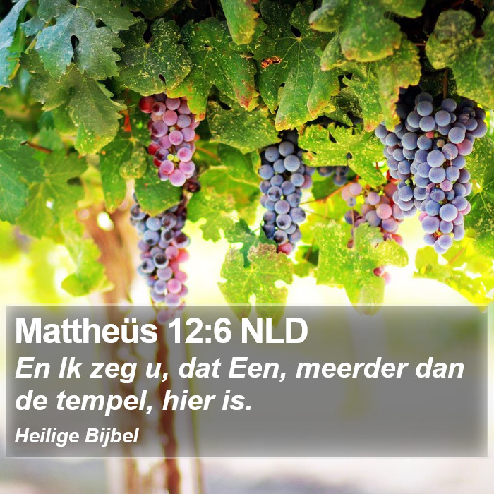 Mattheüs 12:6 NLD Bible Study