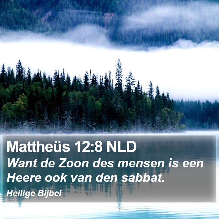 Mattheüs 12:8 NLD Bible Study