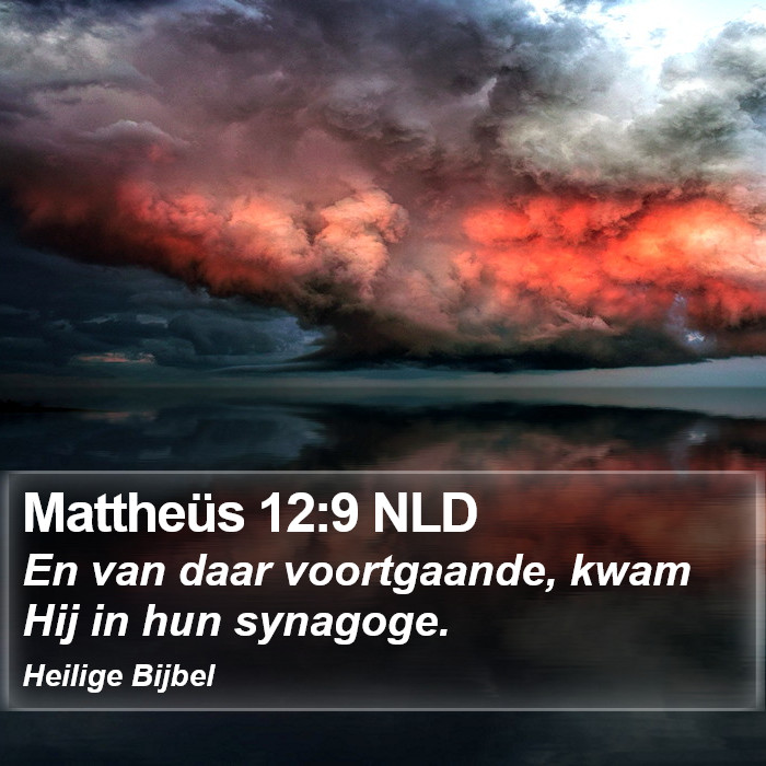 Mattheüs 12:9 NLD Bible Study