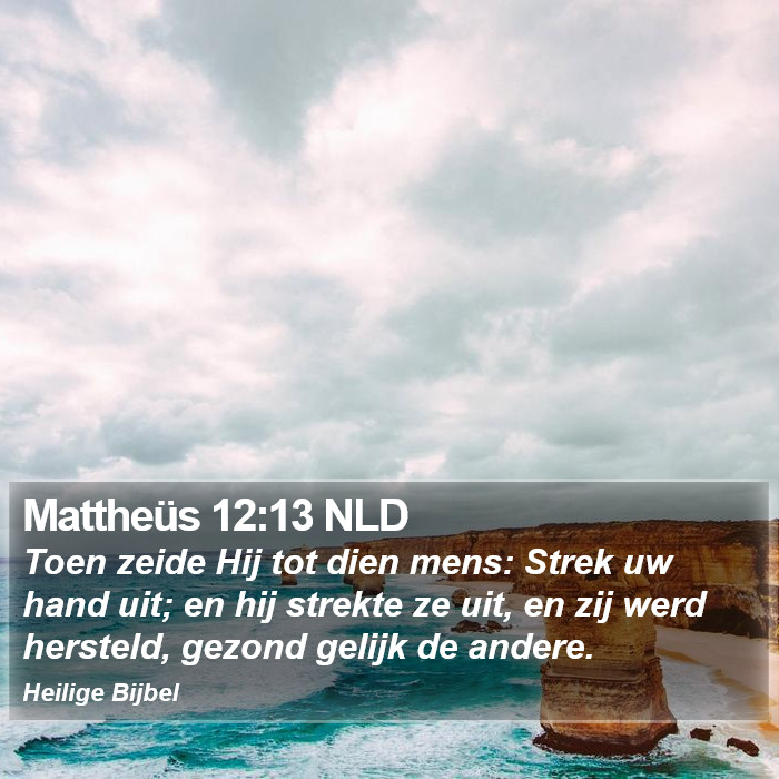 Mattheüs 12:13 NLD Bible Study